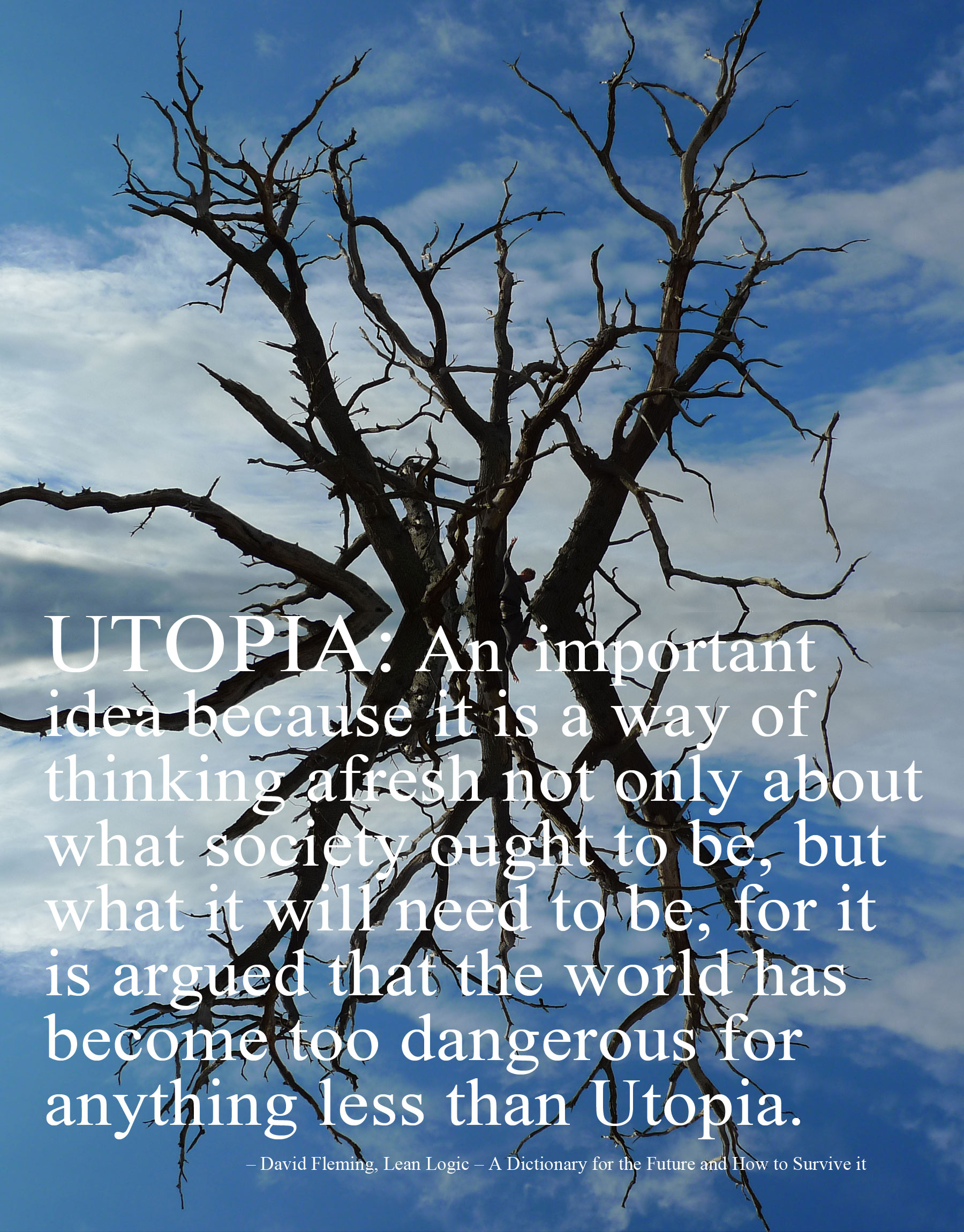 Art of Climbing Trees - Tree 74