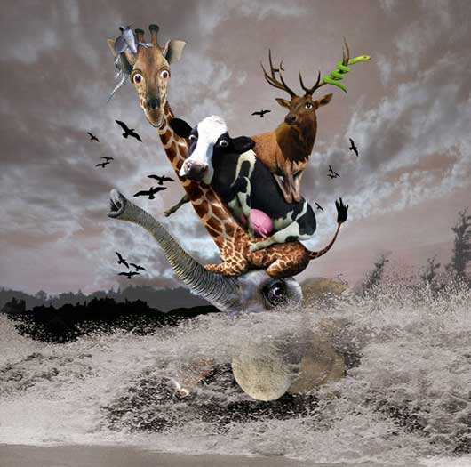 Butterfant and Elephly