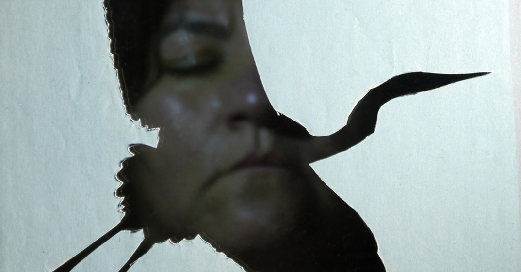 Extinction Ceremonies